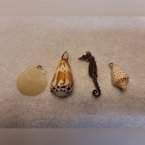Vintage Natural Dried Sea Horse Skeleton And Sea Shells Pendants